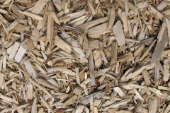 biomass boilers Etloe